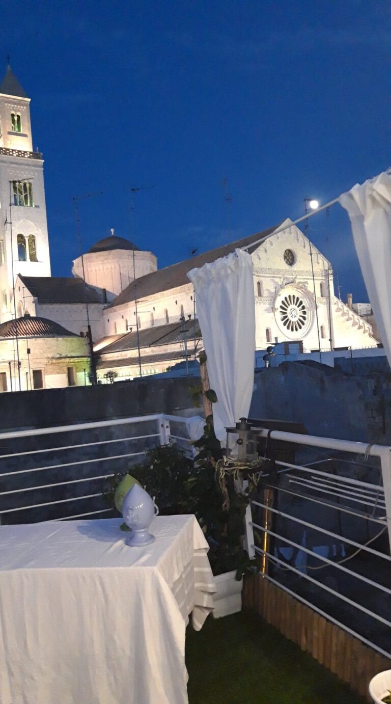 107841175 668959543976623 7564497602922841815 n 1 768x1382