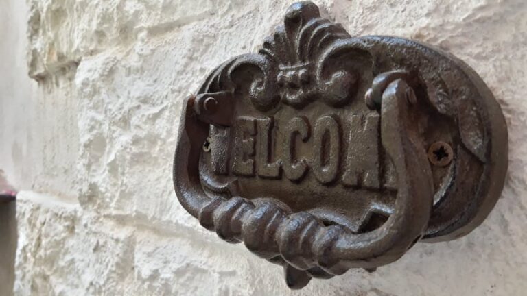 95491253 851674691993616 7382163705028411392 n Copia 768x432