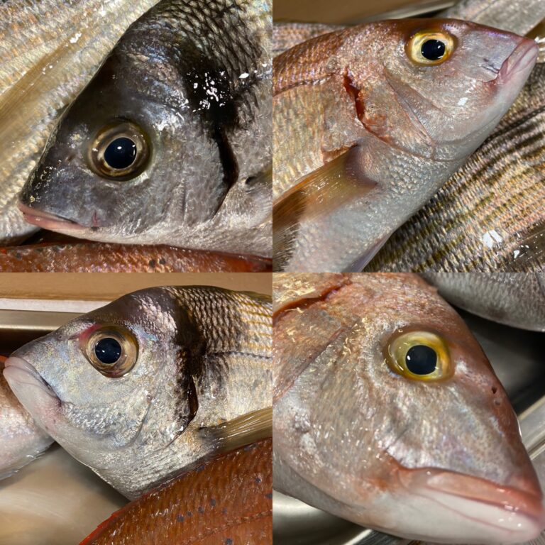 F5A65CFF 9211 47ED 9D77 8593E47F9932 768x768