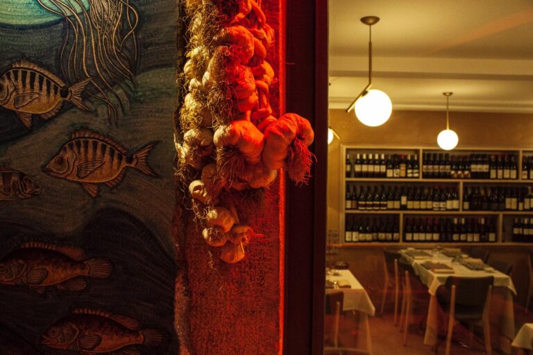 PHOTO 2019 12 12 13 00 05 2 768x512