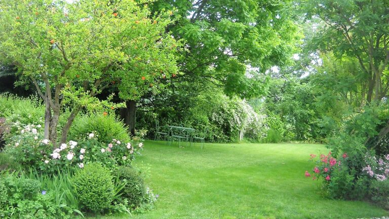 nuove foto 802 FILEminimizer 768x432