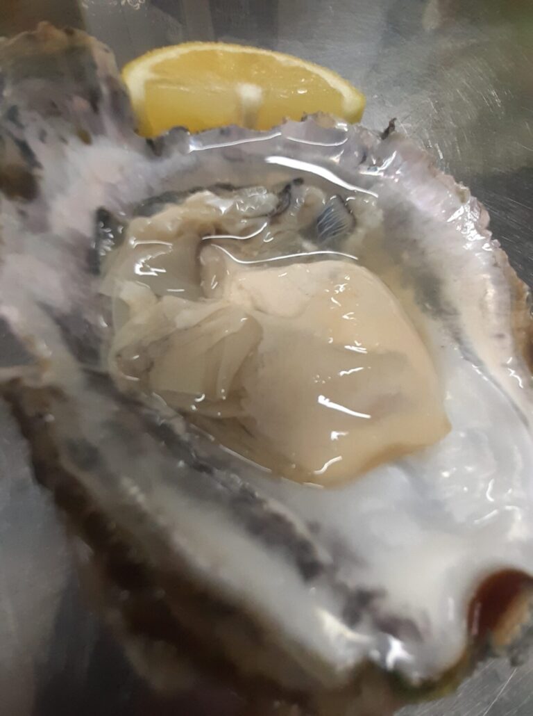 20210116 183422 768x1030