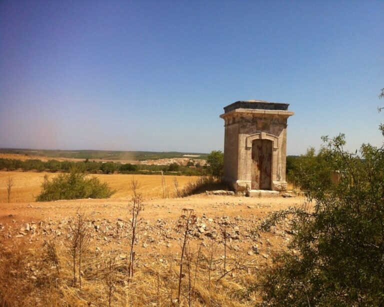 20903985818 e6d7632d12 c 1 768x614