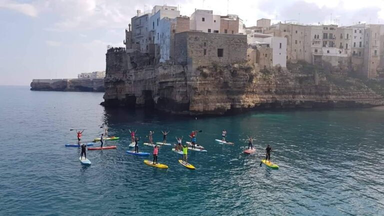 46235741 1025961704254607 6600784226172272640 o 768x432