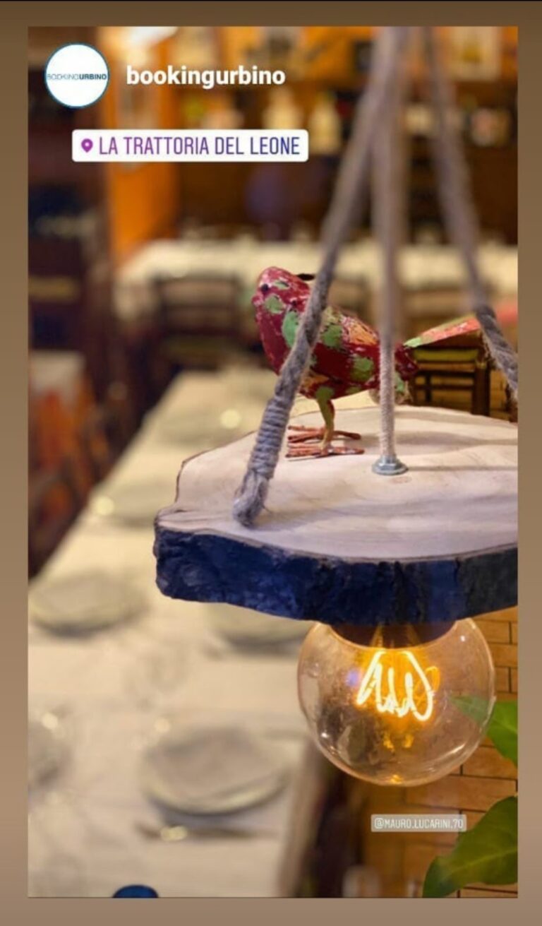 IMG 20210225 224819 768x1311