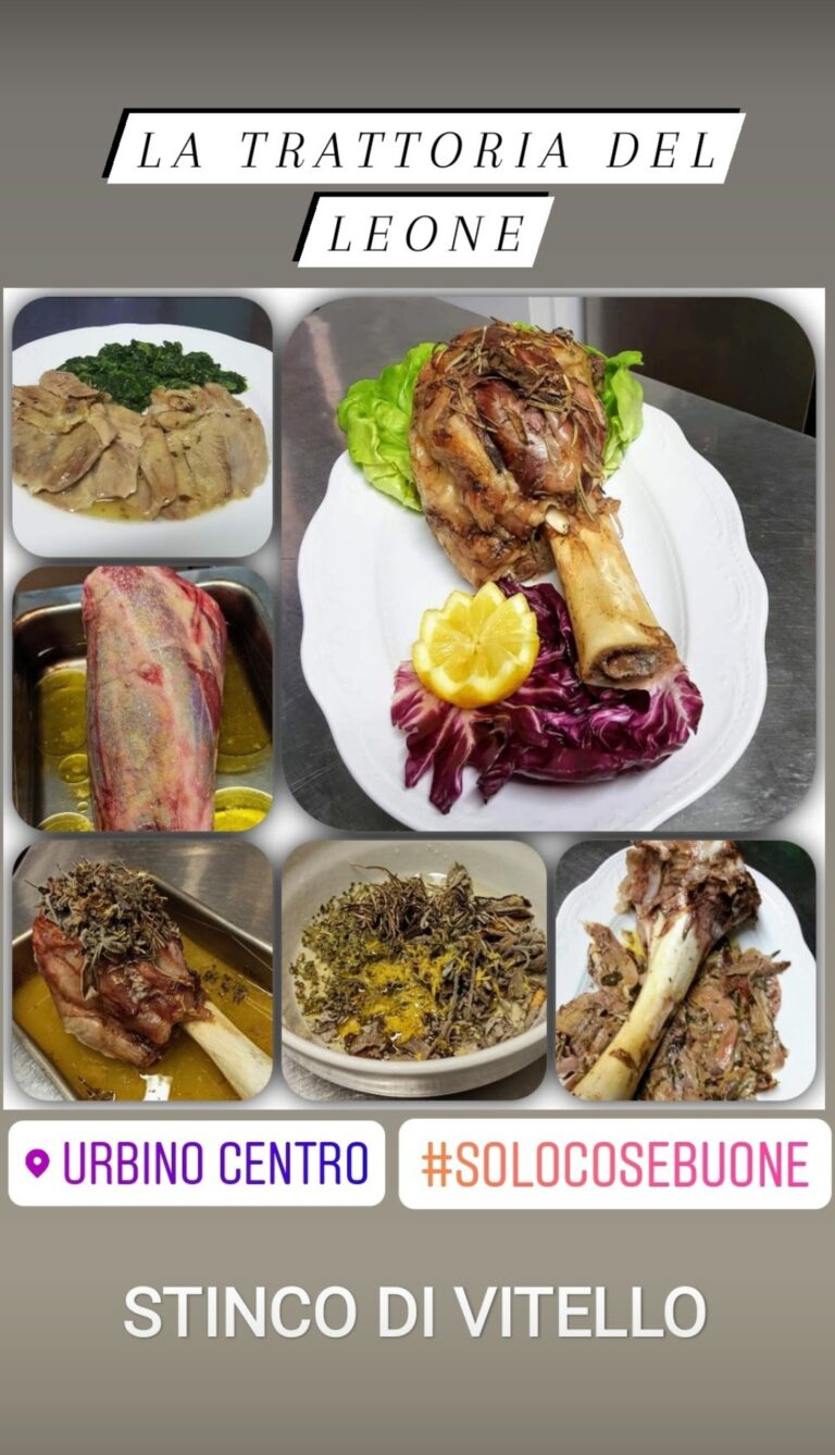 IMG 20210227 152930 768x1338