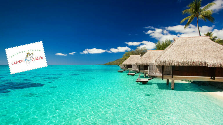 MALDIVE 2 logo 1 1 768x432