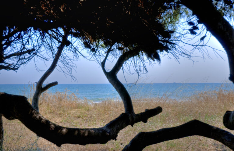 Natura ParcoAMP01 768x495