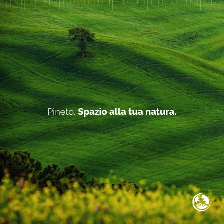 Spazioallatuanatura 768x768