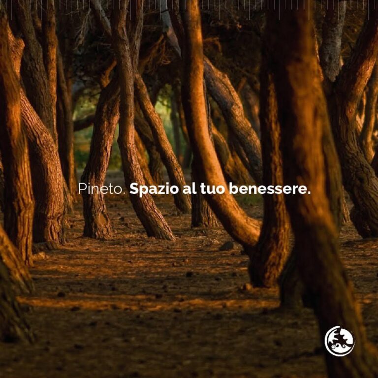 SpazioaltuoBenessere 768x768