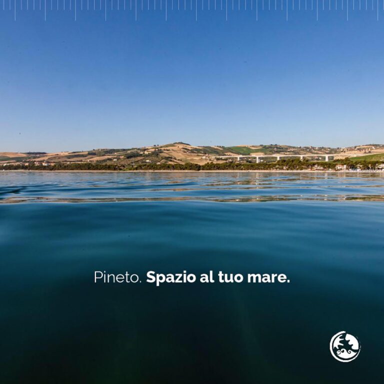 SpazioaltuoMare 768x768