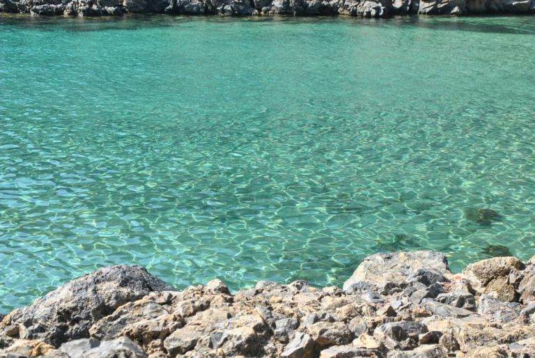 106789365 2006224469510280 6586371231050829130 o 1 768x514