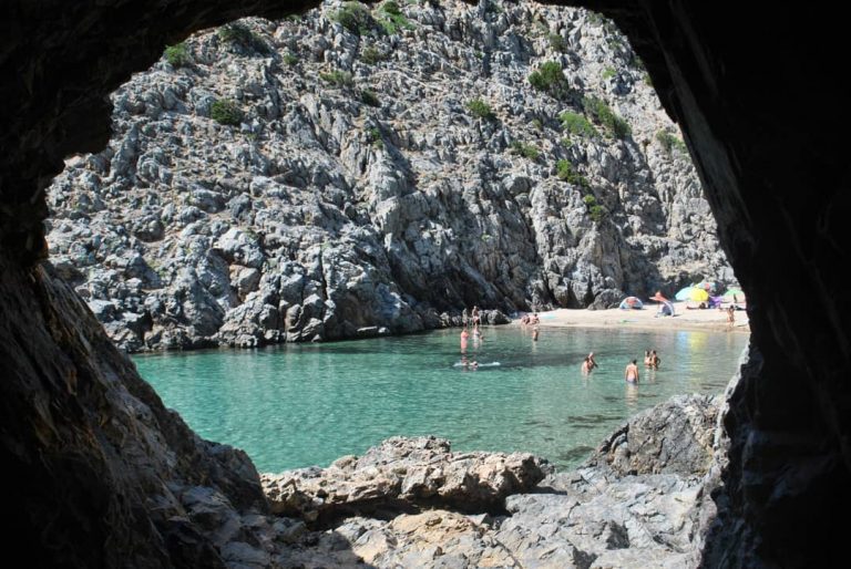 107102664 2006224536176940 9207771445958419654 o 1 768x514