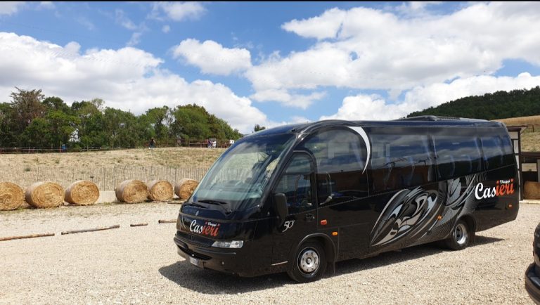 20210325 124112 768x434