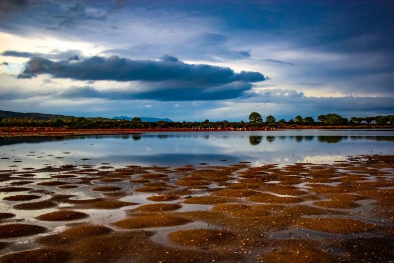 A34B4203 58E1 44C6 9E0E 78605BEB028B 768x512