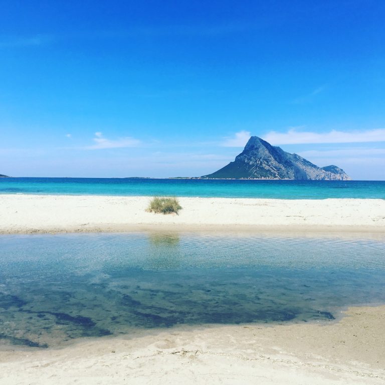 A412535A 332F 477C BAAF 5686E62D41E5 768x768