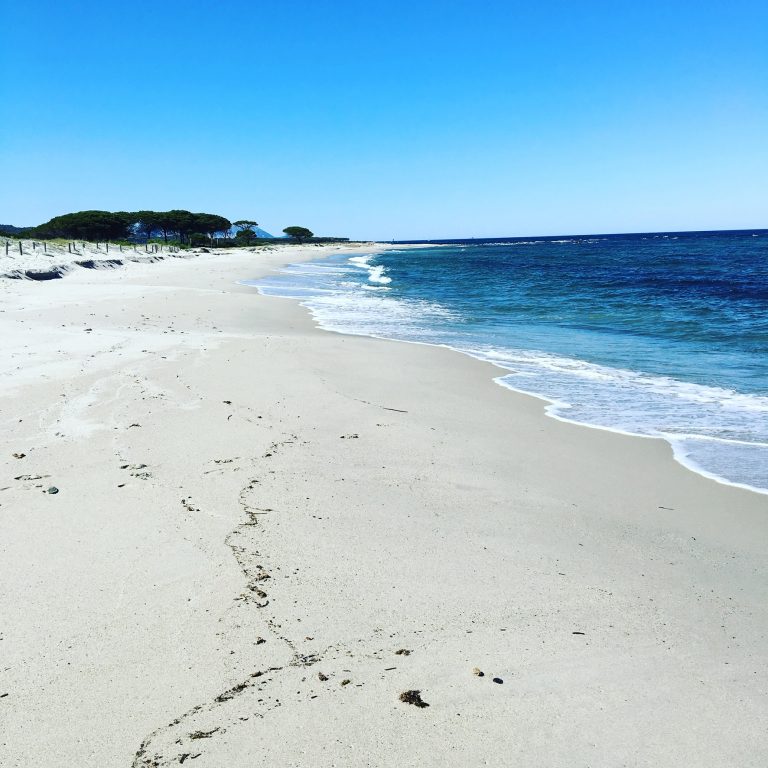 B185A502 5AFE 4505 AF56 DDA2EF112C52 768x768