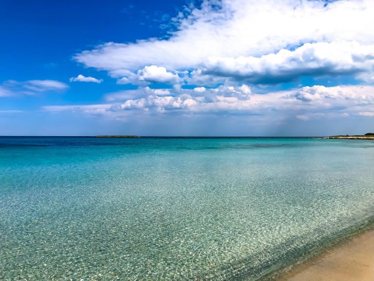 B46301B5 D369 40C9 84A0 399BF2495B1C 768x576