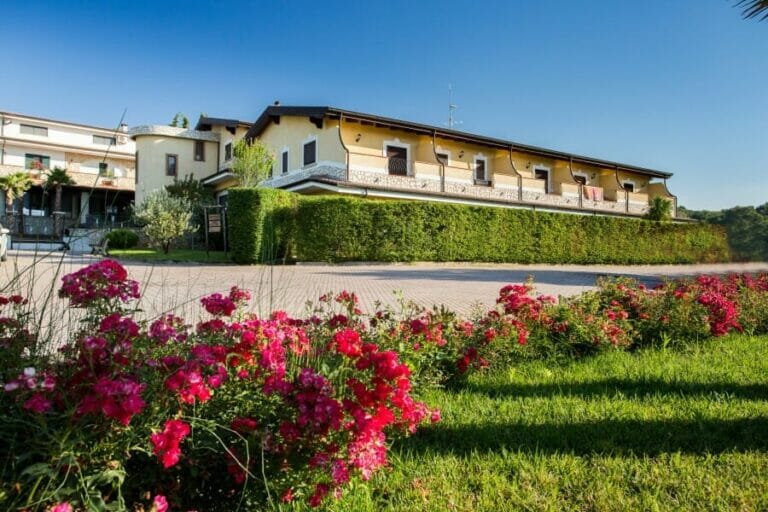 D3V 6401 e1478860881150 768x512