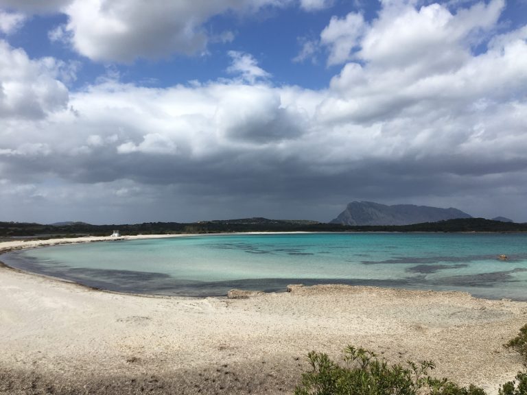 D54D8653 4315 479F A5E0 E0E6B9478A07 768x576