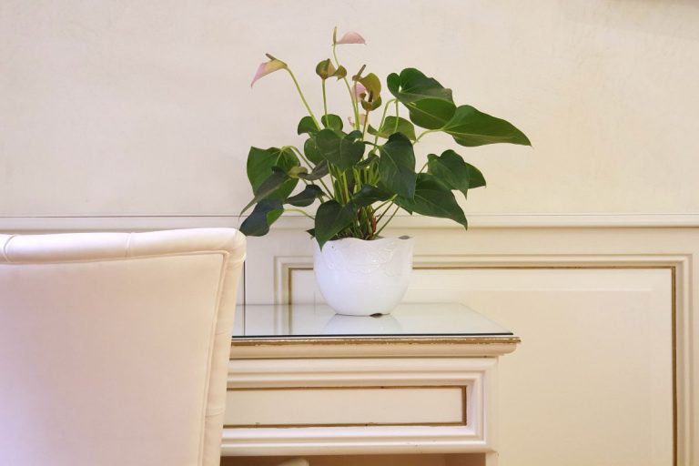 Dettaglio Junior suite 2 768x512