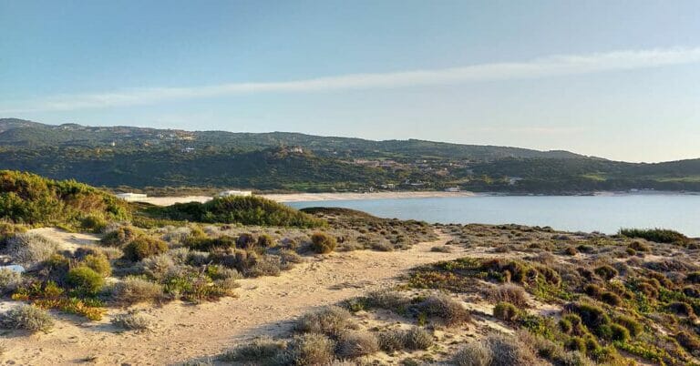 IMG 20210303 171918 247 768x402