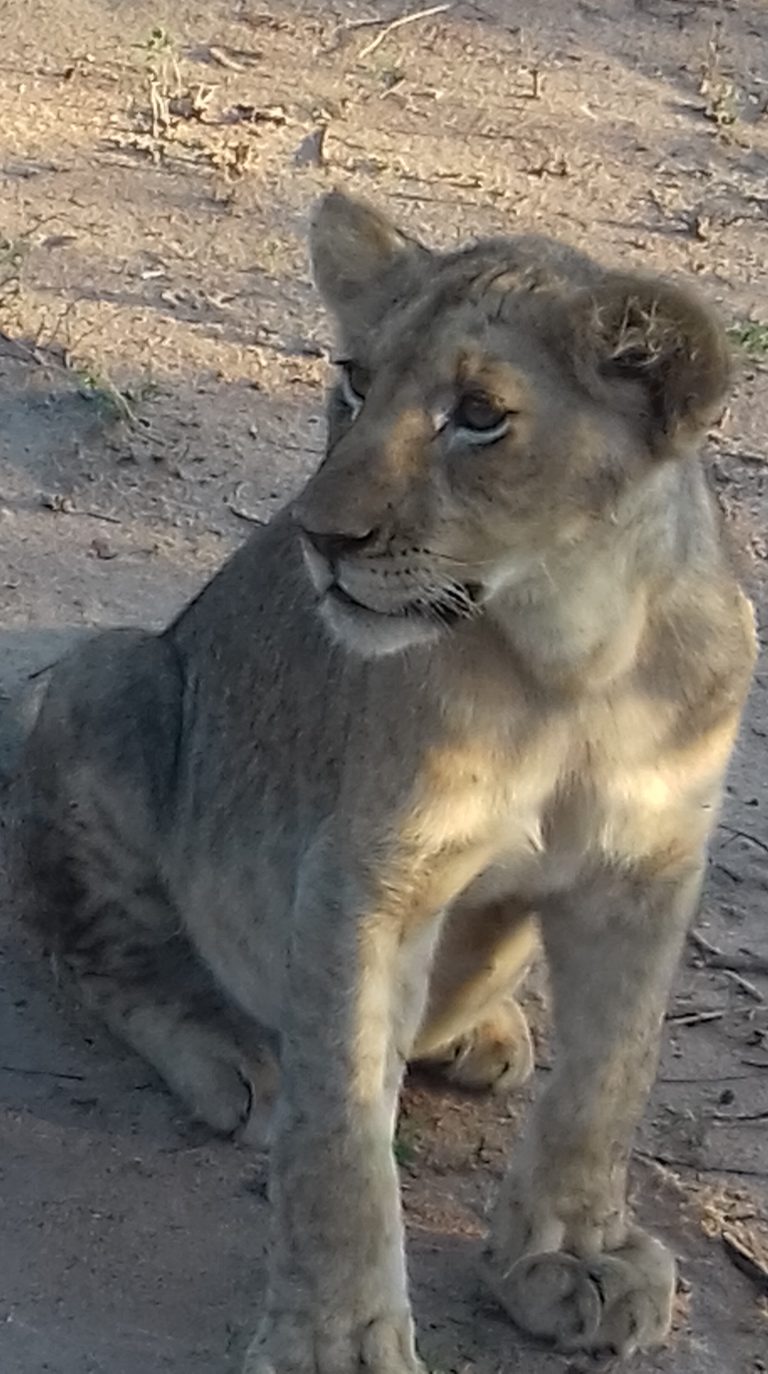 20161116 173746 768x1374