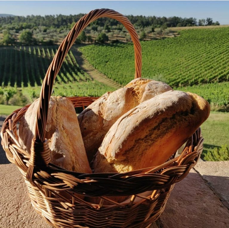 Fattoria La Loggia Location 6 768x764