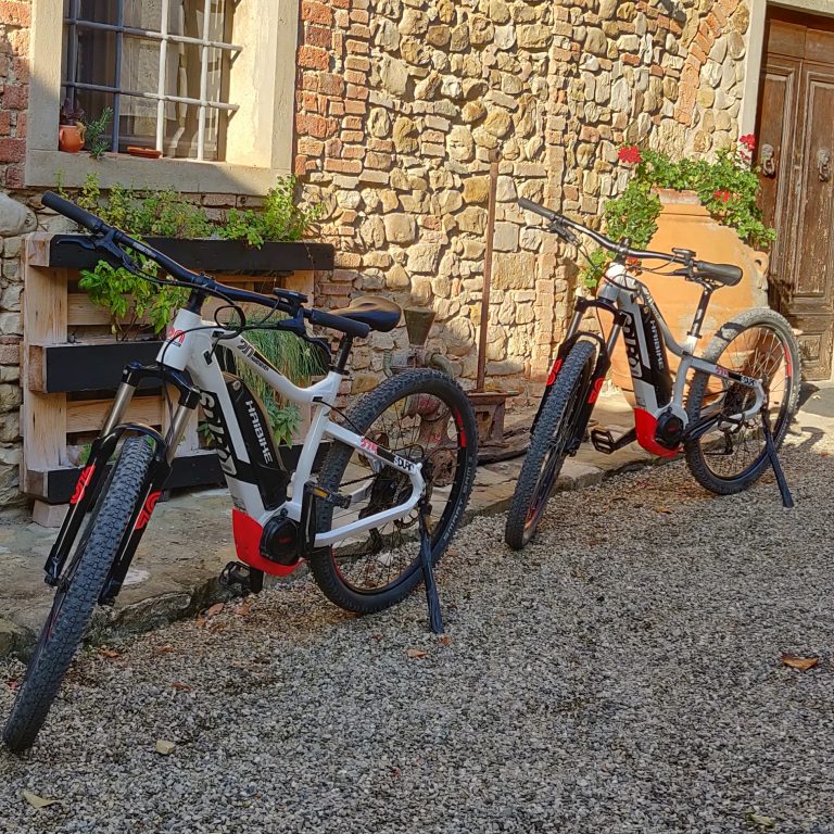 IMG 20191011 095230 636 1 768x768