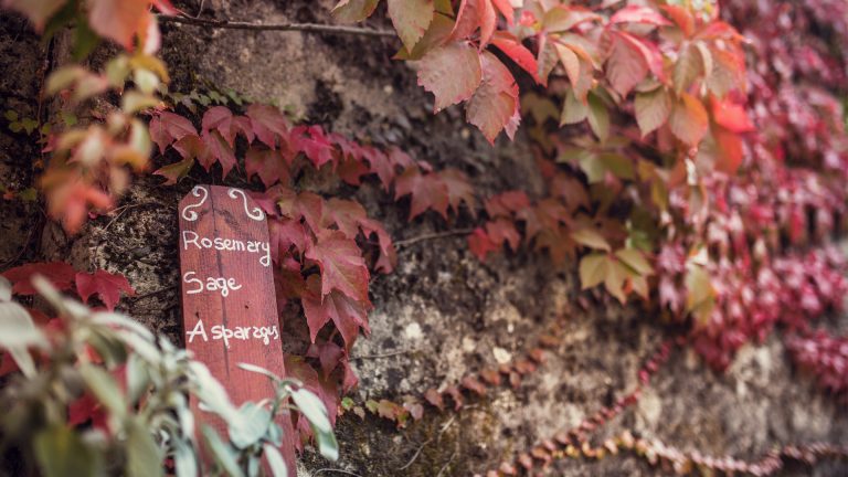 unusual place to stay in Perugia 768x432