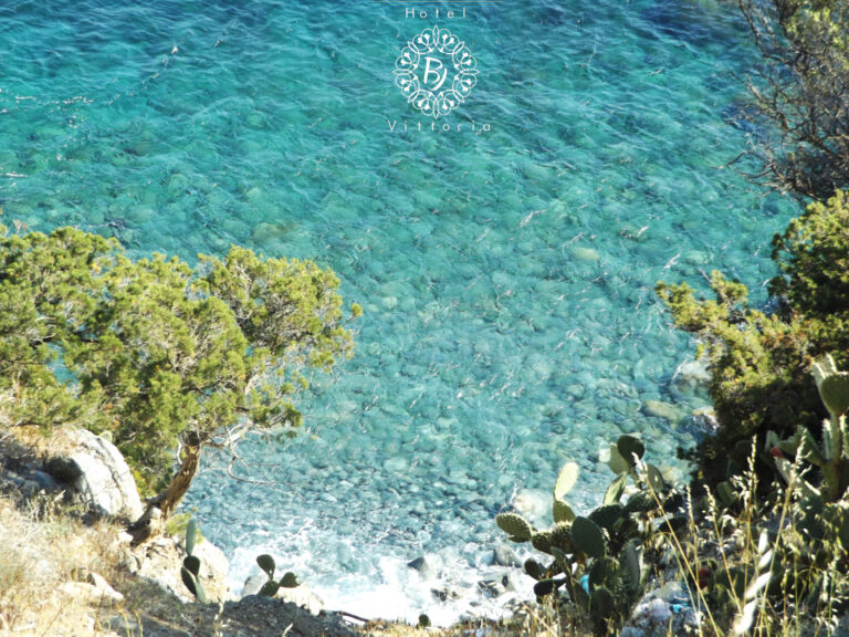 Foto01.06.2015 768x576