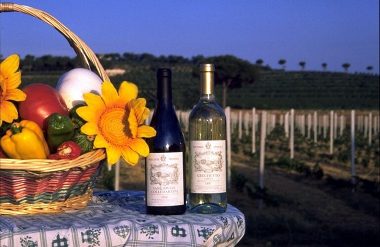 IMG0015 Copia Copia 768x500