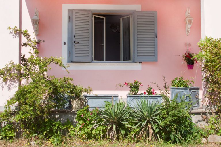 IMG 1258modWEB 768x512