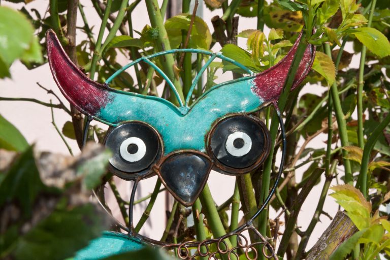 IMG 1273modWEB 768x512