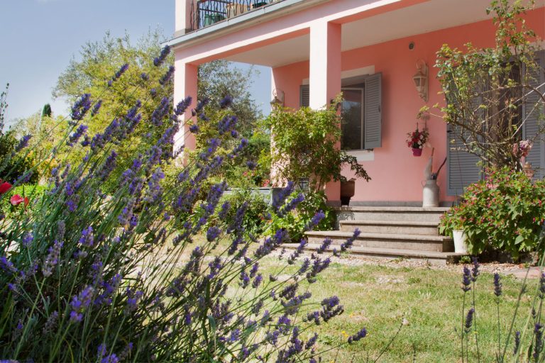 IMG 1348modWEB 768x512