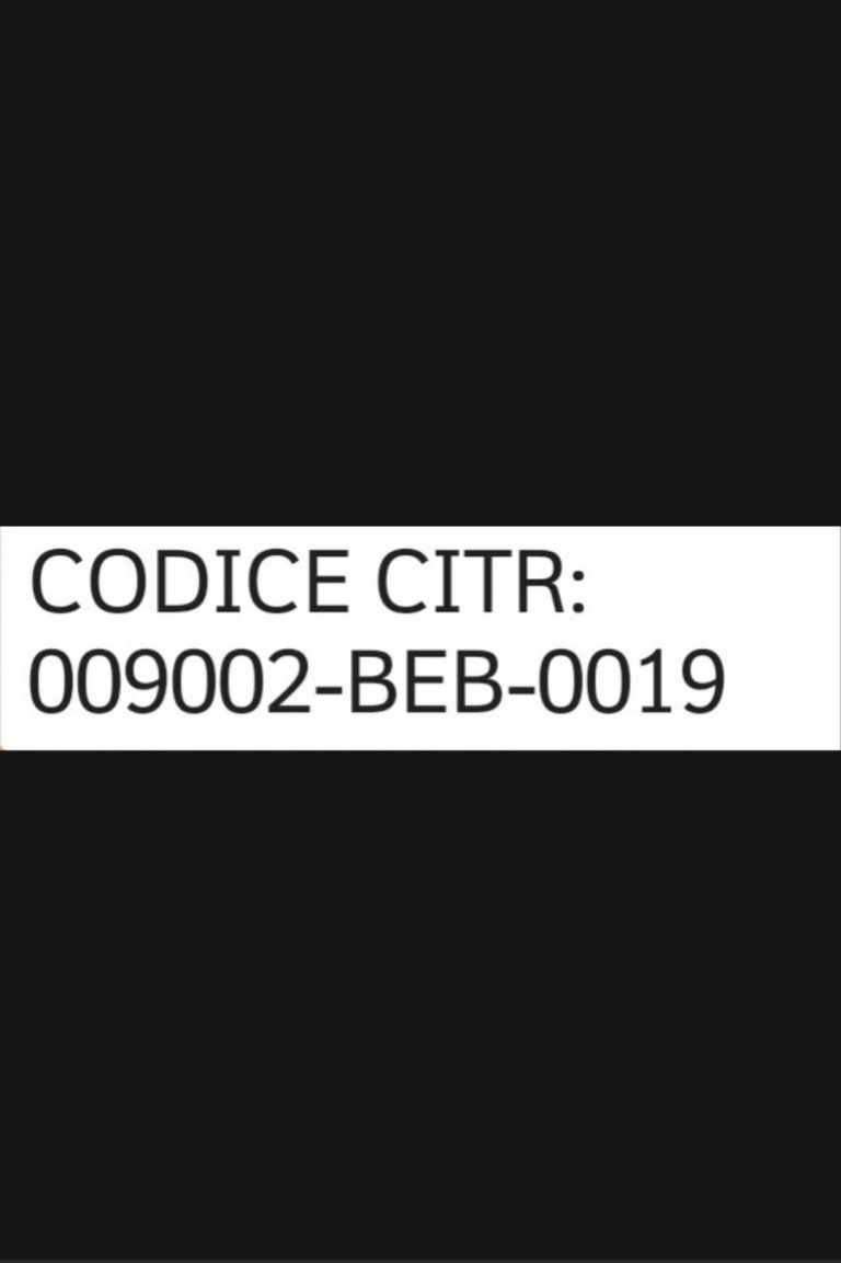 codice citr pigreco 768x1153