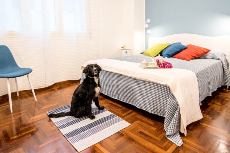 Lavanda Lola 768x512