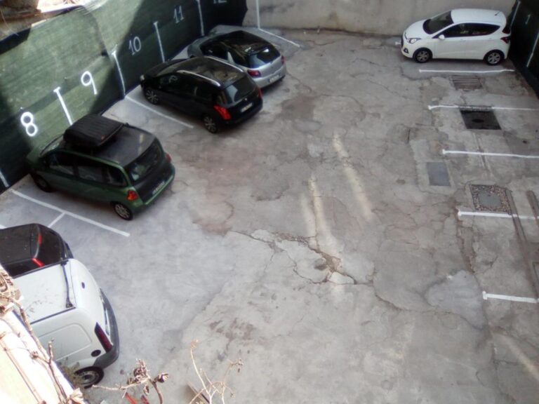 park interno 768x576