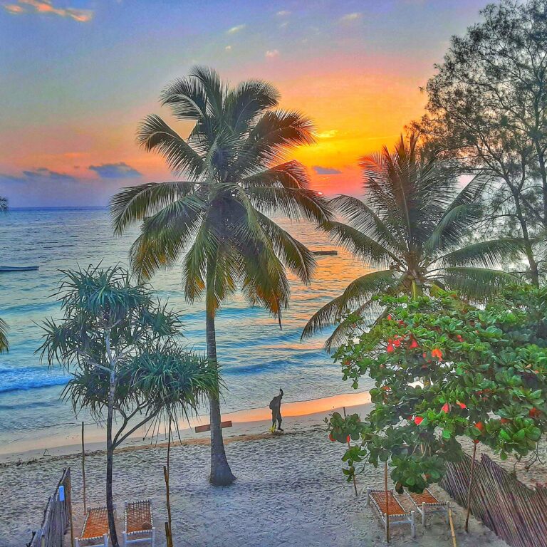 IMG 20210406 155656 993 768x768