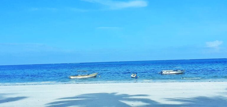 IMG 20211207 190320 825 01 768x364